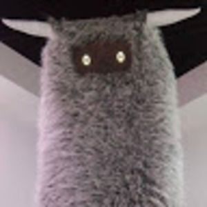 Meet your Posher, Audrey